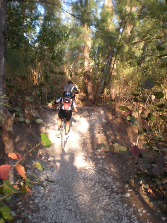 A person riding a mountain bike along a rocky trail surrounded by greenery and trees, with sunlight filtering through the foliage. Oleta River State Park mountain bike trail.