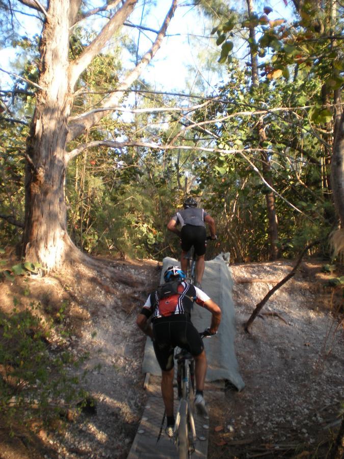 Two mountain bikers riding on a wooden plank bridge in a wooded area, surrounded by trees and underbrush. One biker is in the lead, wearing a black helmet and shirt, while the other follows closely behind, wearing a white and black jersey with a red backpack. Sunlight filters through the trees, creating a dynamic outdoor scene. Oleta River State Park mountain bike trail.