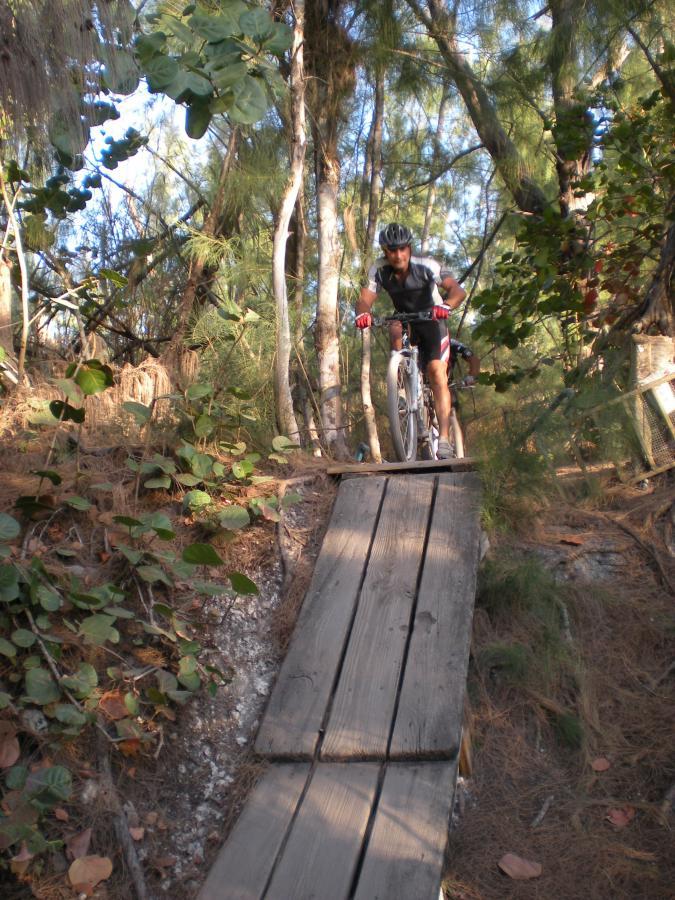 A cyclist navigating a wooden plank trail through a wooded area, surrounded by trees and greenery. The rider is focused and wearing a helmet, with their bike positioned on the narrow path that bridges a gap in the terrain. Oleta River State Park mountain bike trail.