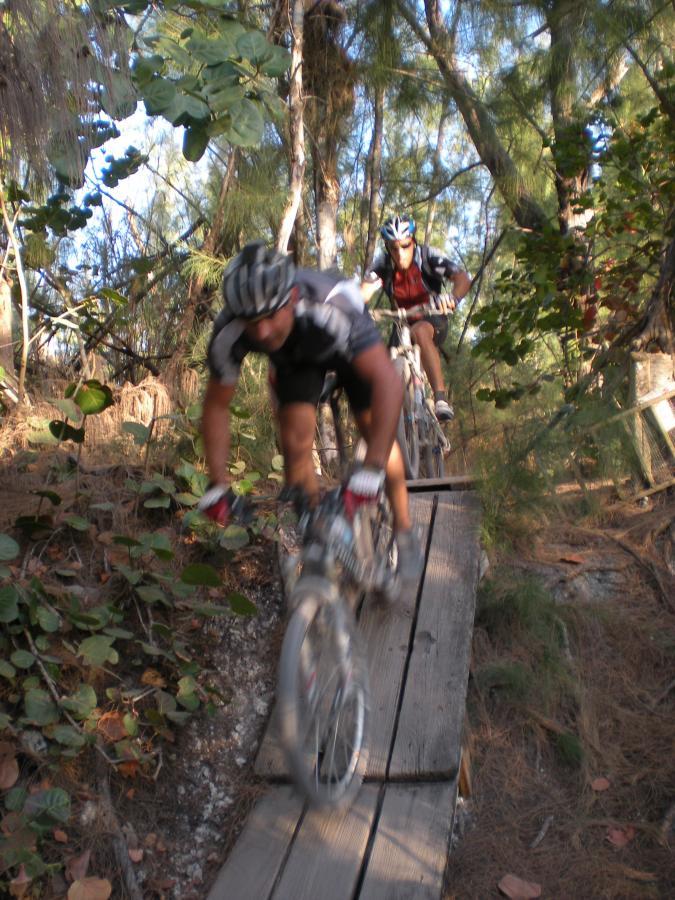 Two mountain bikers navigating a narrow wooden bridge on a forest trail, surrounded by greenery and trees. One rider is in the foreground, while the other follows closely behind. The setting is bright and natural, indicating an outdoor adventure. Oleta River State Park mountain bike trail.