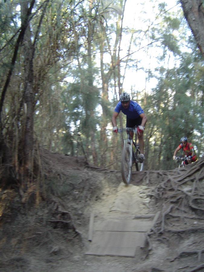A mountain biker in a blue shirt performs a jump off a wooden ramp in a wooded area, while another cyclist in a red shirt follows closely behind. The scene is surrounded by trees and roots, depicting an adventurous outdoor trail. Oleta River State Park mountain bike trail.