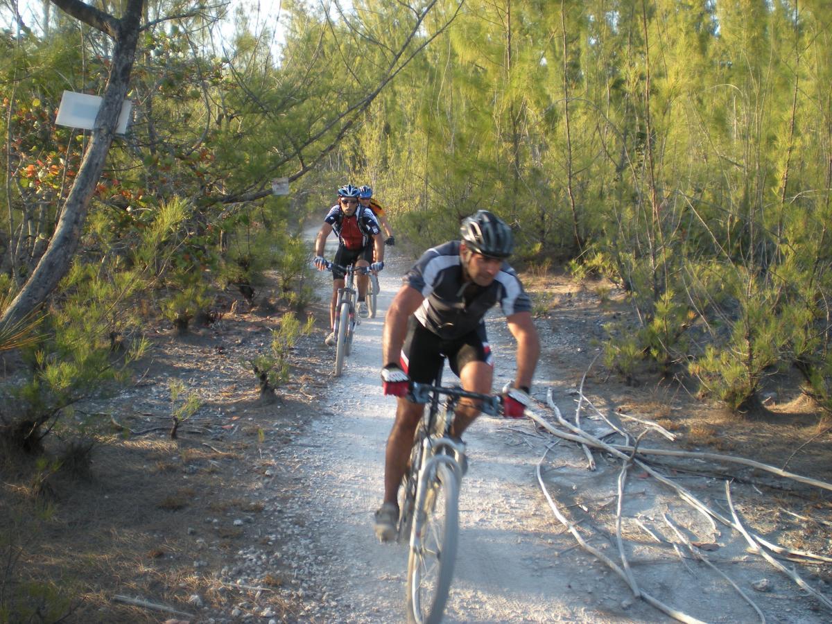 Two mountain bikers riding along a gravel trail surrounded by tall green trees and shrubs. The sun is shining, illuminating the natural landscape. Oleta River State Park mountain bike trail.