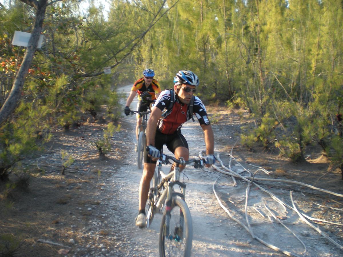 Two mountain bikers riding along a sandy trail surrounded by trees. One biker is wearing a red and black jersey, while the other is in an orange and black jersey. The scene captures the outdoor, adventurous spirit of cycling in nature. Oleta River State Park mountain bike trail.