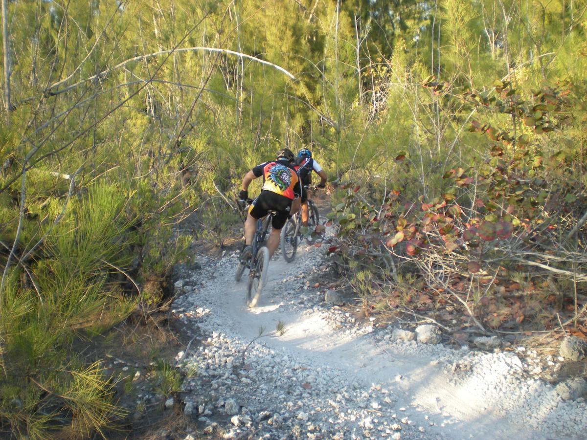 Two mountain bikers riding along a narrow dirt trail surrounded by lush greenery and trees. The path is partially lined with gravel, and the cyclists are wearing bright, colorful jerseys as they navigate the outdoor terrain. Oleta River State Park mountain bike trail.