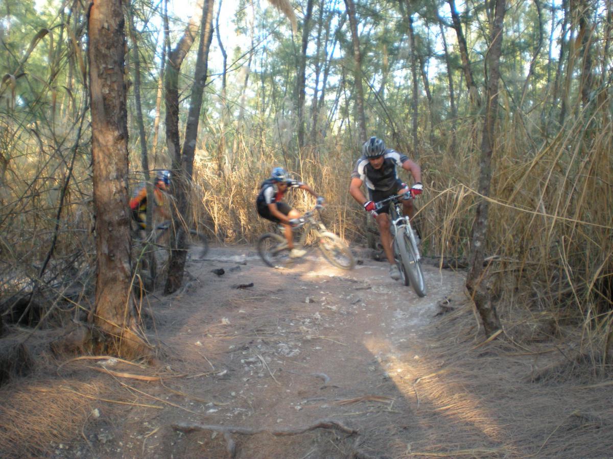 Three mountain bikers navigating a dirt trail surrounded by tall trees and brown foliage. Sunlight filters through the vegetation, highlighting the riders in motion as they tackle the uneven terrain. Oleta River State Park mountain bike trail.