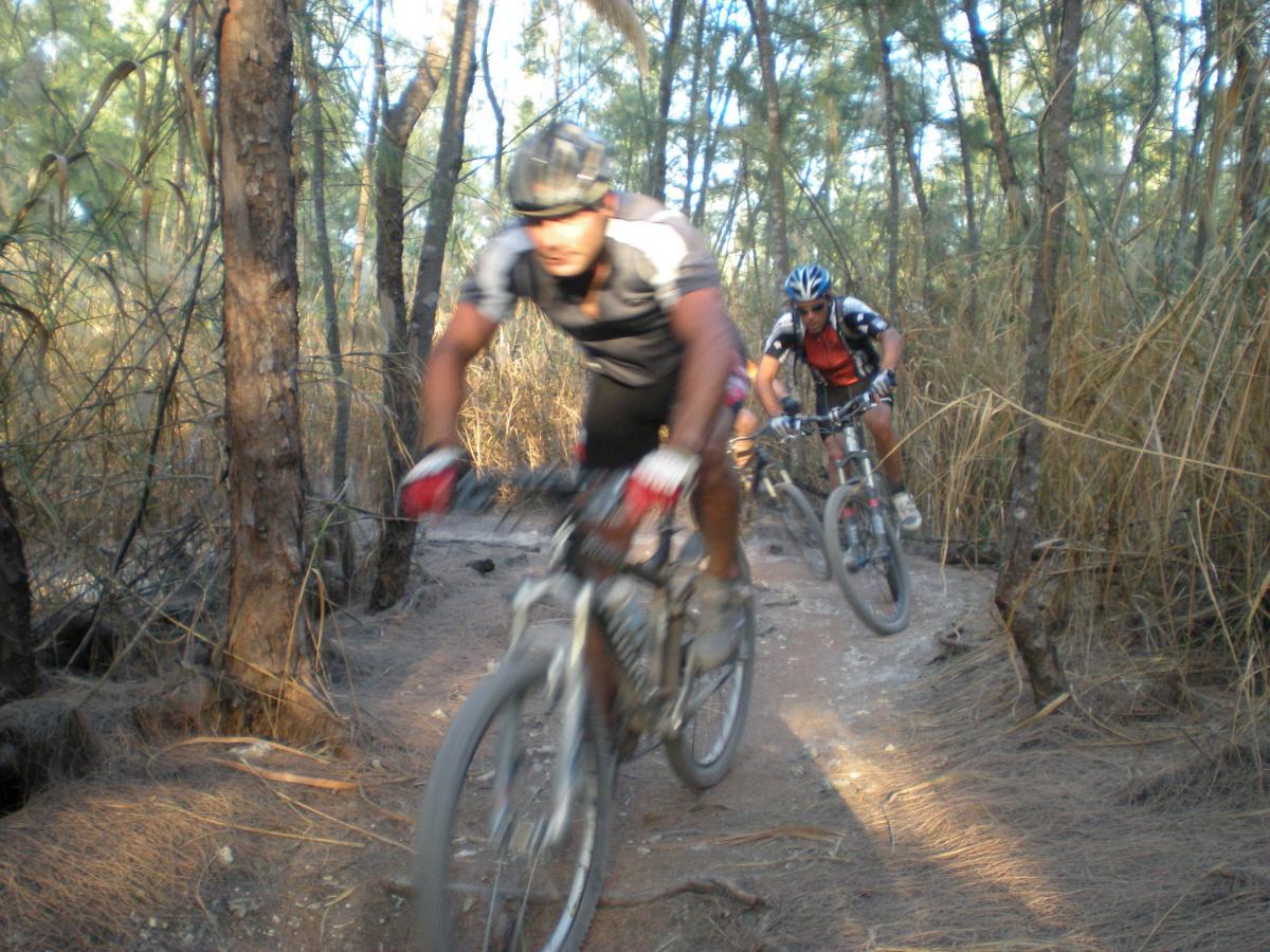 Two mountain bikers navigating a winding trail through a forested area with tall trees and dry foliage. The cyclists are in motion, wearing helmets and athletic gear, with the foreground biker slightly blurred to convey speed. Oleta River State Park mountain bike trail.