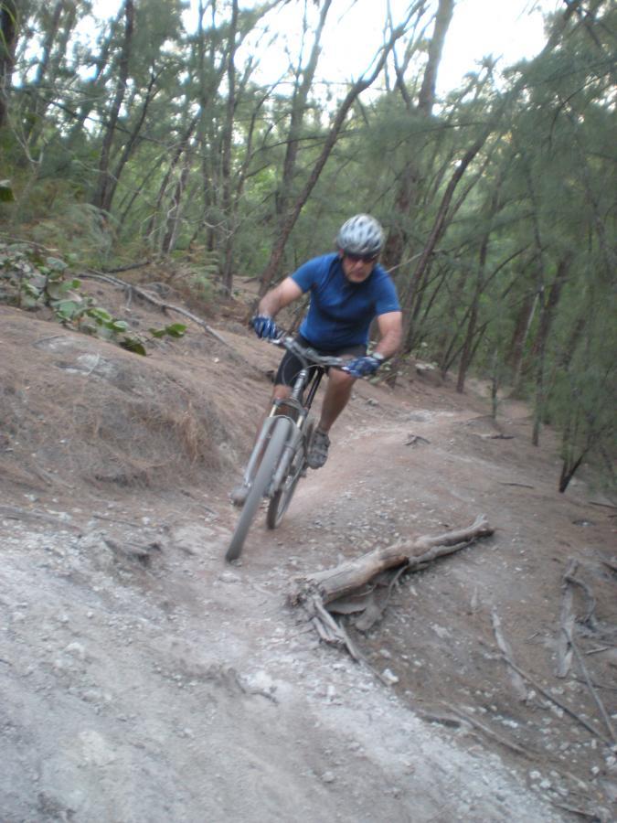 A cyclist navigating a winding dirt trail through a wooded area, wearing a blue shirt and a helmet, with trees and natural scenery surrounding the path. Oleta River State Park mountain bike trail.