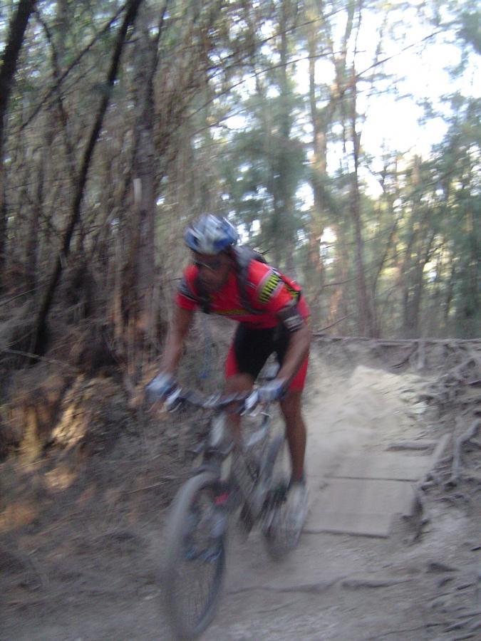 A mountain biker in motion rides over a wooden bridge on a dusty trail surrounded by trees. The biker is wearing a bright red and black outfit and a helmet, with dust billowing up around the bike wheels. The background features a wooded area with tall trees, capturing the essence of an outdoor biking adventure. Oleta River State Park mountain bike trail.