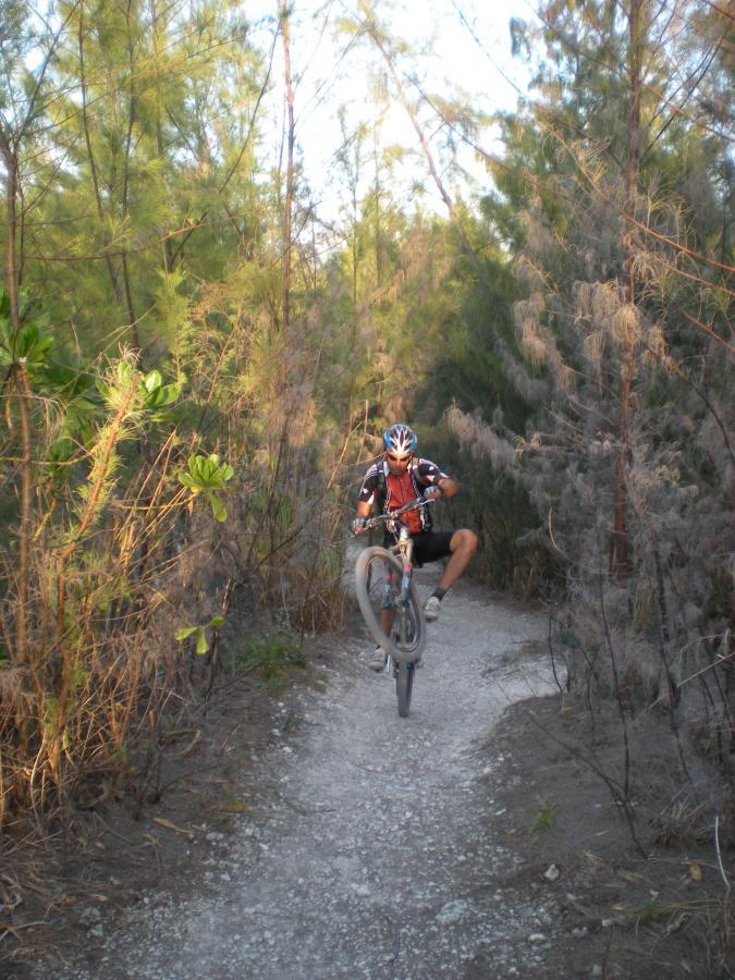 A mountain biker performing a wheelie on a gravel trail surrounded by tall, green trees and shrubbery in a natural outdoor setting. Oleta River State Park mountain bike trail.