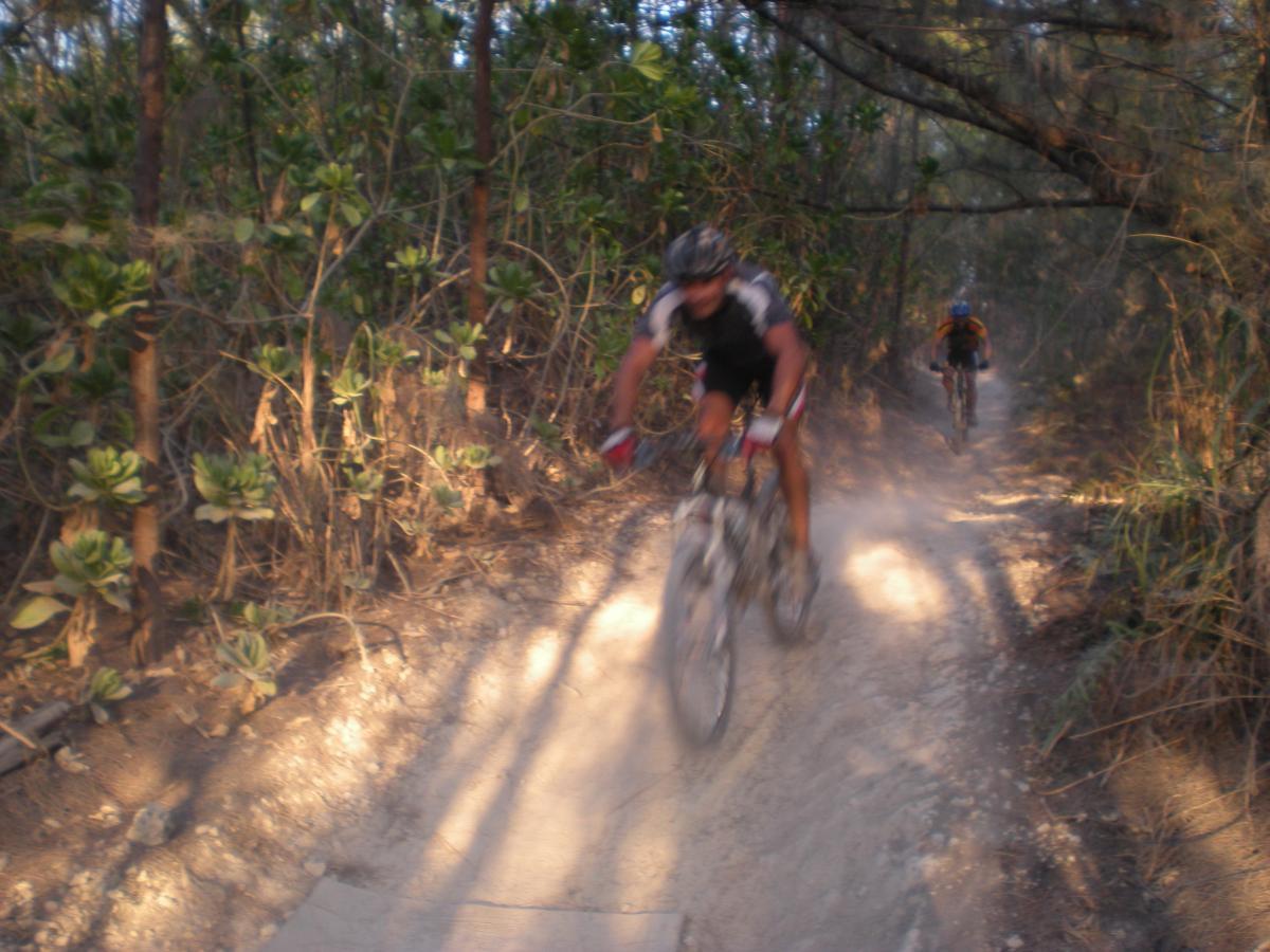 Two mountain bikers riding along a dusty trail surrounded by dense vegetation. The first rider, in motion, is wearing a black jersey and a helmet, while the second rider, further back, is dressed in an orange and black outfit. Sunlight filters through the trees, creating a dynamic and adventurous atmosphere. Oleta River State Park mountain bike trail.