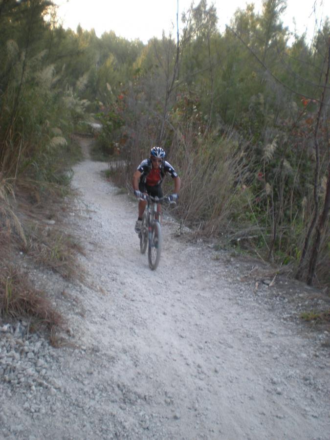A mountain biker riding on a narrow gravel trail surrounded by lush greenery and tall grasses. The biker wears a helmet and is focused on navigating the terrain as sunlight filters through the trees. Oleta River State Park mountain bike trail.