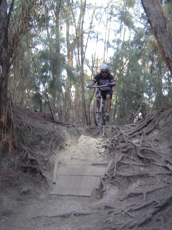 A mountain biker navigating a rugged trail in a forest, leaping off a wooden ramp with wheels off the ground, surrounded by trees and exposed roots on the path. Oleta River State Park mountain bike trail.