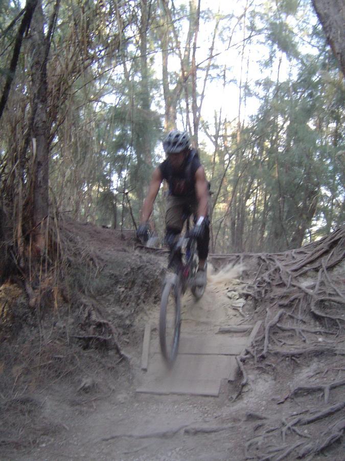 Mountain biker riding over a wooden bridge on a dirt trail surrounded by trees, capturing a sense of action and adventure in a forested setting. Dust is kicking up under the bike as it navigates the rugged terrain. Oleta River State Park mountain bike trail.