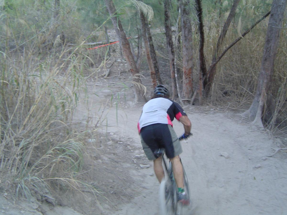 A cyclist wearing a helmet and a short-sleeved jersey rides a mountain bike along a dirt trail surrounded by sparse vegetation and trees. The path curves ahead, suggesting a winding route through a natural environment. Oleta River State Park mountain bike trail.