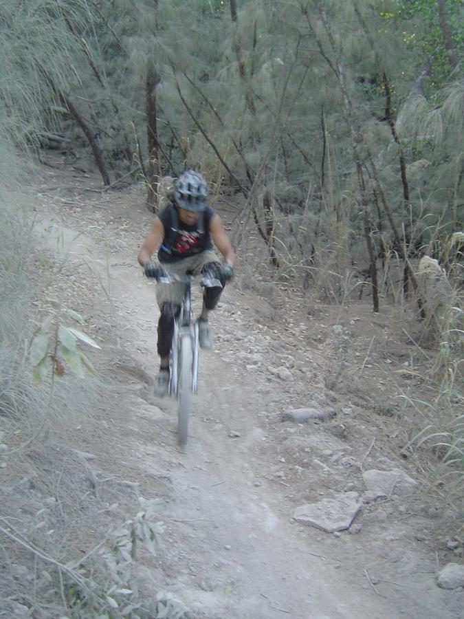 A person wearing a helmet and biking gloves rides a mountain bike on a dirt trail surrounded by trees and vegetation. The cyclist is in motion, navigating through a rocky path in a natural setting. Oleta River State Park mountain bike trail.