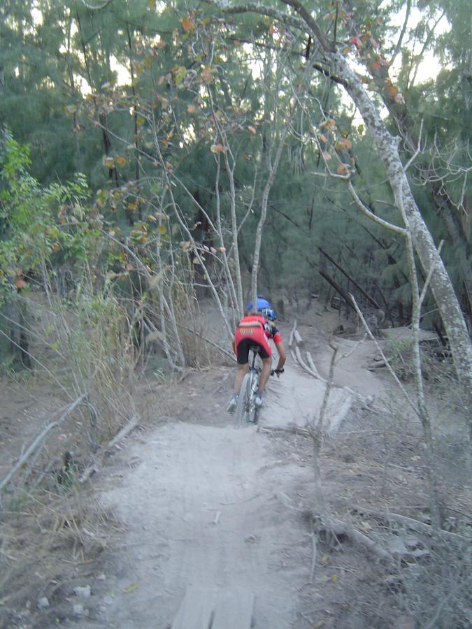 A mountain biker riding down a narrow dirt trail surrounded by trees and vegetation, with visible wooden planks on the ground, in a natural outdoor setting. Oleta River State Park mountain bike trail.