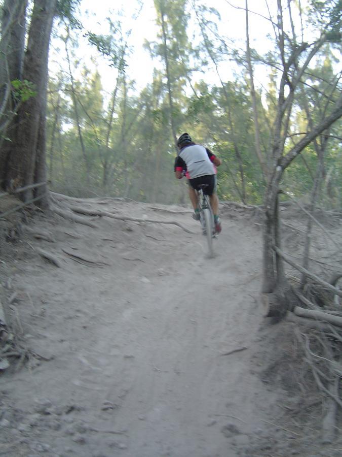 A mountain biker riding on a dirt trail surrounded by trees, kicking up dust as they navigate a steep incline. The scene captures the essence of outdoor adventure and biking in a natural setting. Oleta River State Park mountain bike trail.