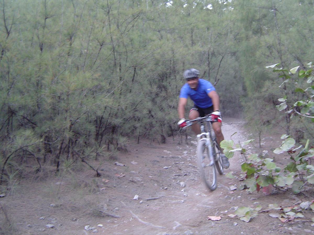 A mountain biker in a blue shirt is captured mid-jump on a narrow dirt trail surrounded by dense greenery. The cyclist, wearing a helmet, is navigating a rugged path with rocks and sparse vegetation. Oleta River State Park mountain bike trail.