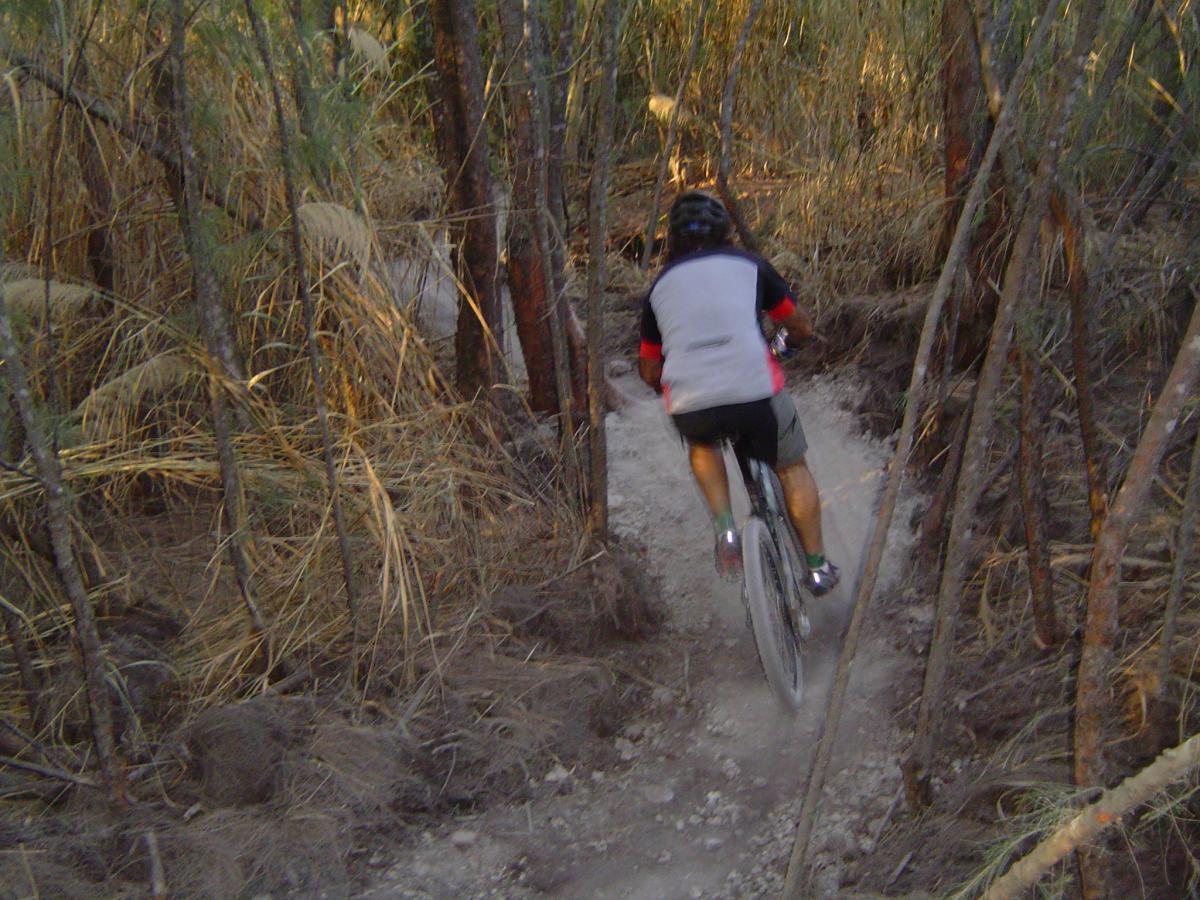 A mountain biker navigating a narrow dirt trail surrounded by tall grass and trees, capturing the essence of outdoor adventure and cycling in nature. Oleta River State Park mountain bike trail.