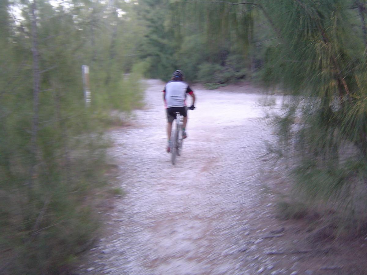 A person riding a mountain bike along a gravel trail surrounded by tall green trees. The cyclist is seen from behind, wearing a helmet and sports attire. The trail is narrow and winds through a forested area, with scattered stones and dirt visible on the ground. Oleta River State Park mountain bike trail.