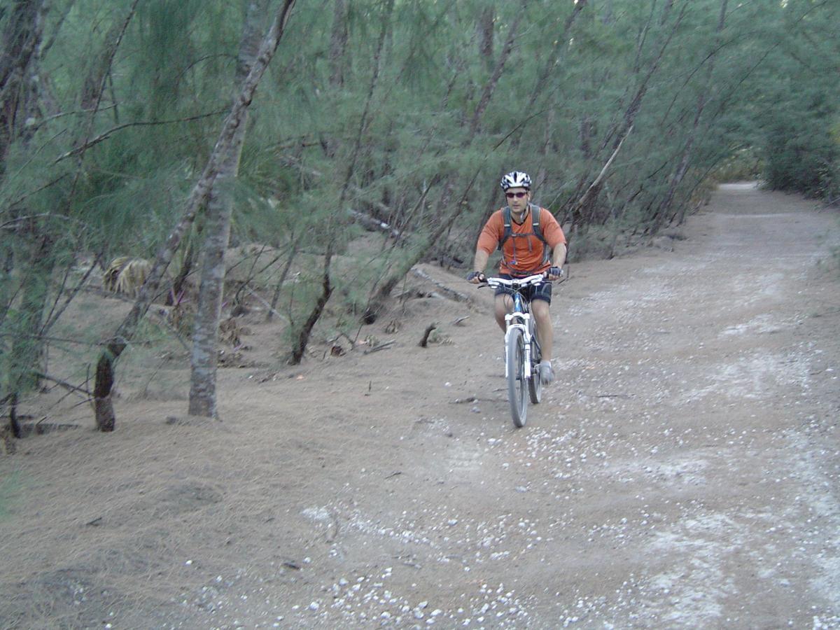 A person riding a mountain bike on a dirt path surrounded by trees. The cyclist is wearing a helmet and sunglasses, and is dressed in an orange shirt and shorts. The scene captures a serene forest environment with a mixture of greenery and earthy ground. Oleta River State Park mountain bike trail.