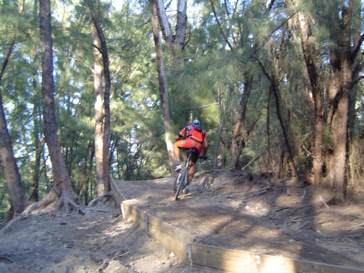 A mountain biker in a red and black jersey rides along a narrow dirt trail in a densely wooded area, with tall trees surrounding the path and sunlight filtering through the foliage. Oleta River State Park mountain bike trail.