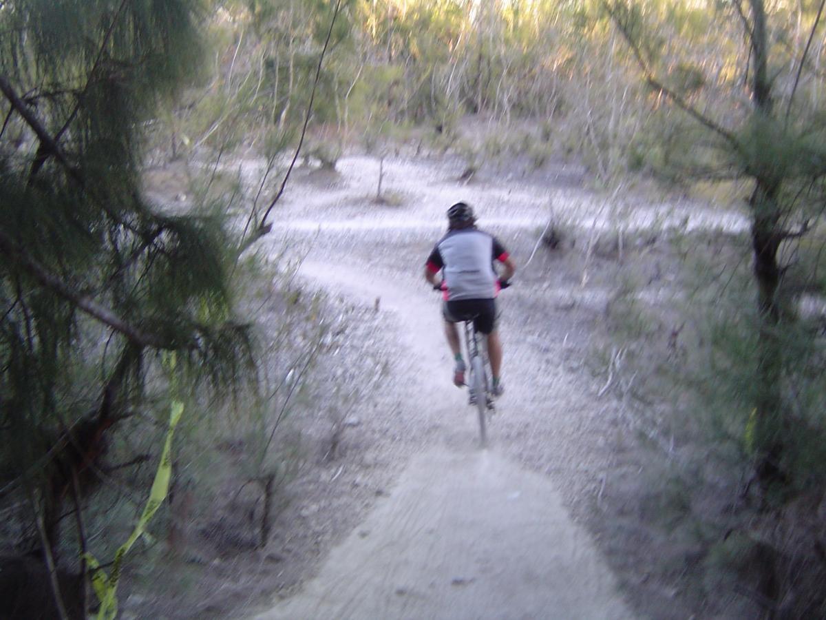 A cyclist riding along a winding dirt trail surrounded by trees in a natural setting. The bike path features a mixture of gravel and dirt, with the sunlight filtering through the foliage. Oleta River State Park mountain bike trail.