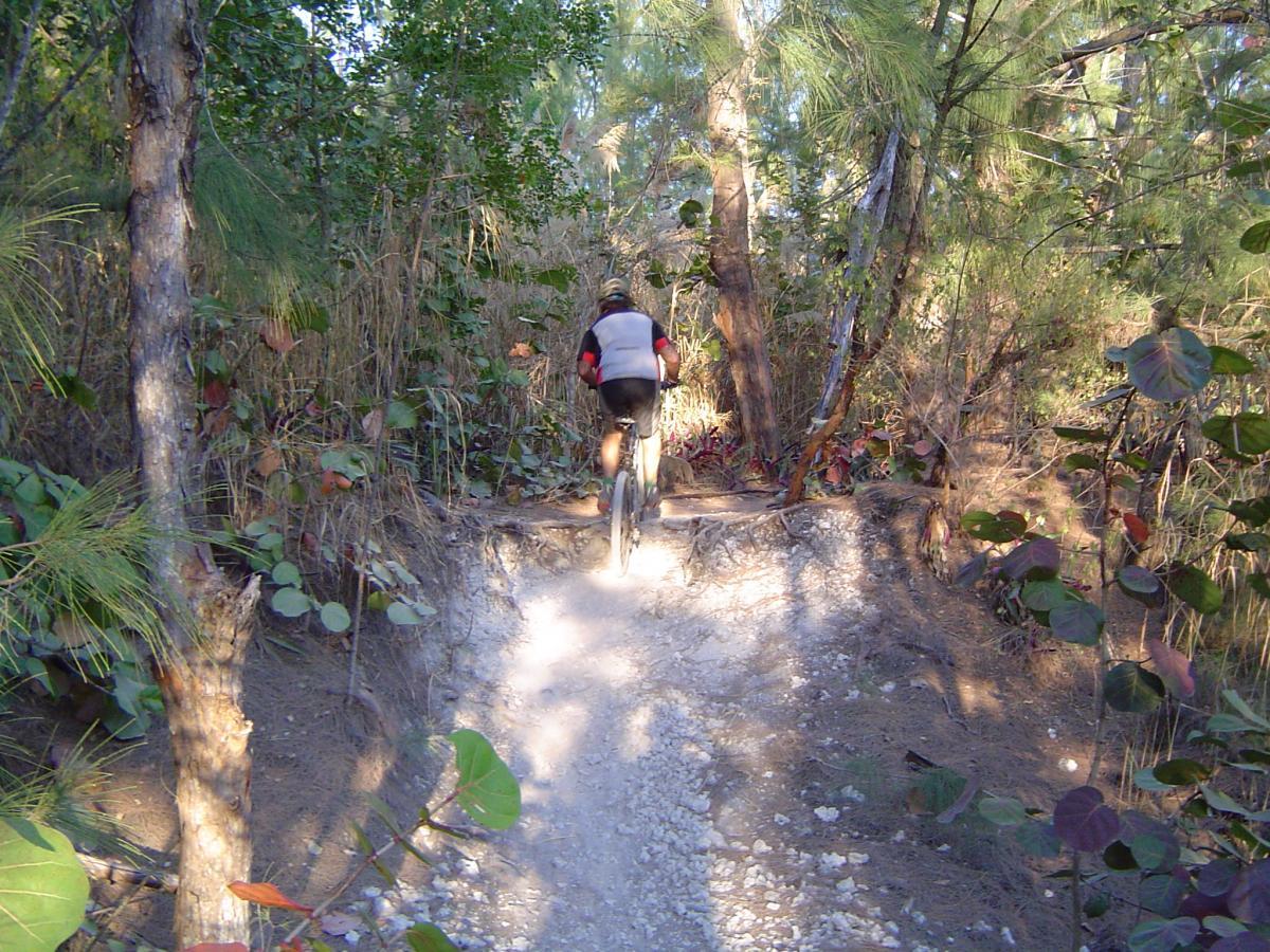 Mountain biker riding on a dirt trail surrounded by trees and foliage in a forested area. Sunlight filters through the greenery, highlighting the path and creating a natural, outdoor setting. Oleta River State Park mountain bike trail.