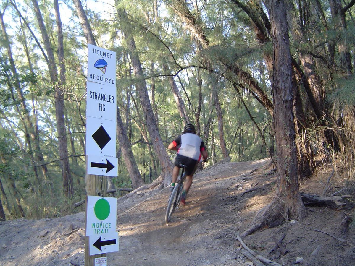 A mountain biker rides down a dirt path in a wooded area. Nearby, there are trail signs indicating that a helmet is required, directions to the "Strangler Fig" trail, and a "Novice Trail" sign, along with arrows showing the path to follow. The surrounding trees are tall and green, suggesting a natural and serene environment. Oleta River State Park mountain bike trail.