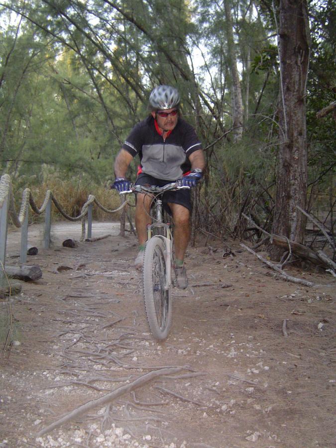 A person riding a mountain bike along a dirt trail surrounded by trees, with visible roots and rocks on the path. The cyclist is wearing a helmet and biking gear. Oleta River State Park mountain bike trail.