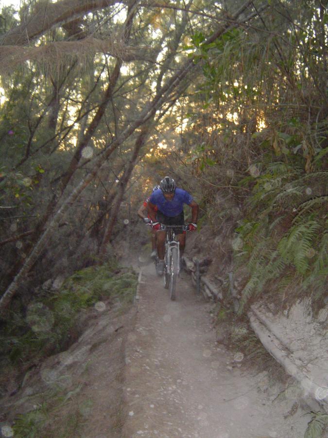 A mountain biker navigates a narrow, dirt trail surrounded by dense trees and foliage during sunset, creating a dramatic and adventurous atmosphere. Oleta River State Park mountain bike trail.