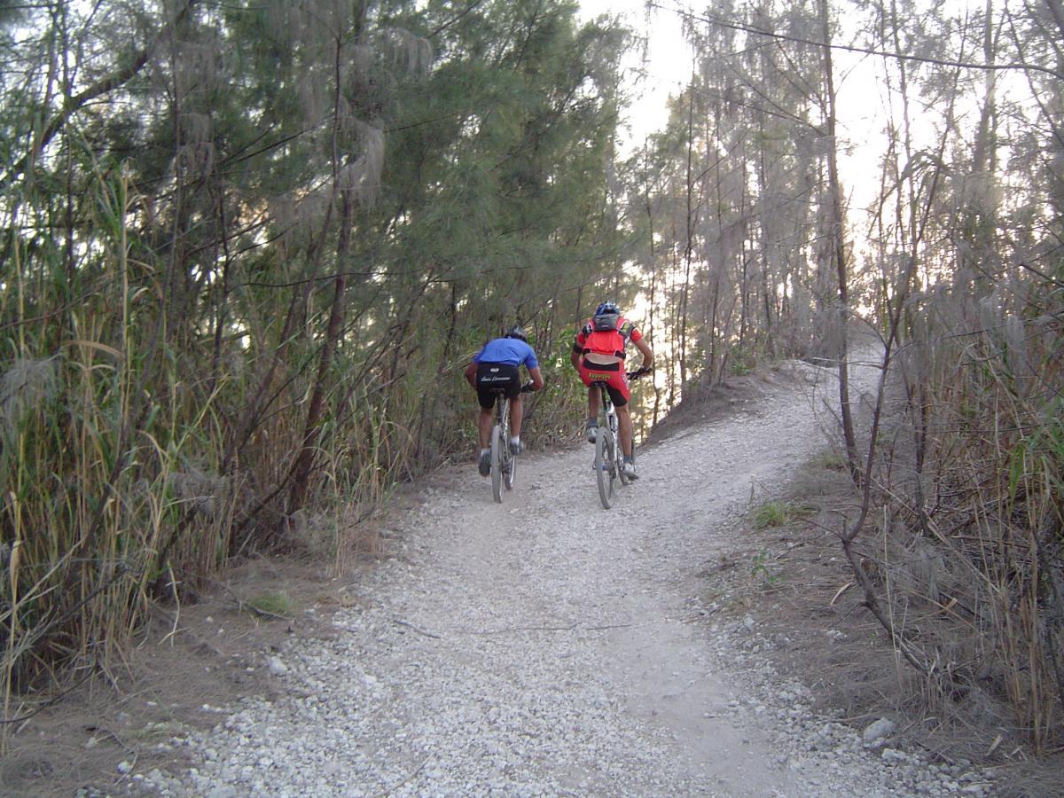 Two mountain bikers riding on a narrow gravel path through a wooded area, with tall trees and vegetation lining the trail. The sun is setting, casting a warm light on the scene. Oleta River State Park mountain bike trail.
