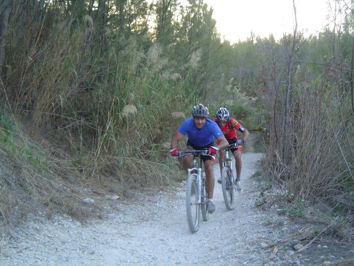 Two mountain bikers navigating a narrow, gravel trail surrounded by tall grass and trees. One cyclist, dressed in a blue shirt, leans forward as he pedals vigorously, while the other, in a red and black outfit, follows closely behind. The scene captures the thrill of outdoor biking in a natural setting. Oleta River State Park mountain bike trail.