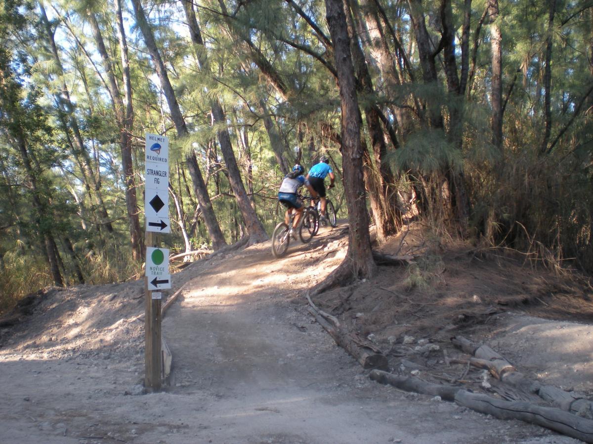 Two mountain bikers navigating a dirt trail in a wooded area, with signposts indicating trail directions and requirements. The background features tall trees and a sunny atmosphere, while the trail is slightly inclined. One of the signs notes that a helmet is required for the "Strangler Fig" trail, while another indicates a novice trail option. Oleta River State Park mountain bike trail.