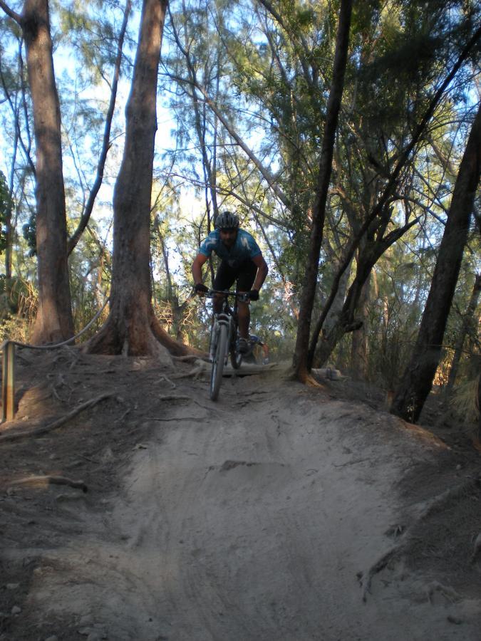 A person riding a mountain bike down a dirt trail surrounded by trees. The biker is leaning forward, navigating a slope with a mix of dirt and roots visible on the path, showcasing an outdoor adventure in a natural setting. The sunlight filters through the trees, creating a dynamic atmosphere. Oleta River State Park mountain bike trail.