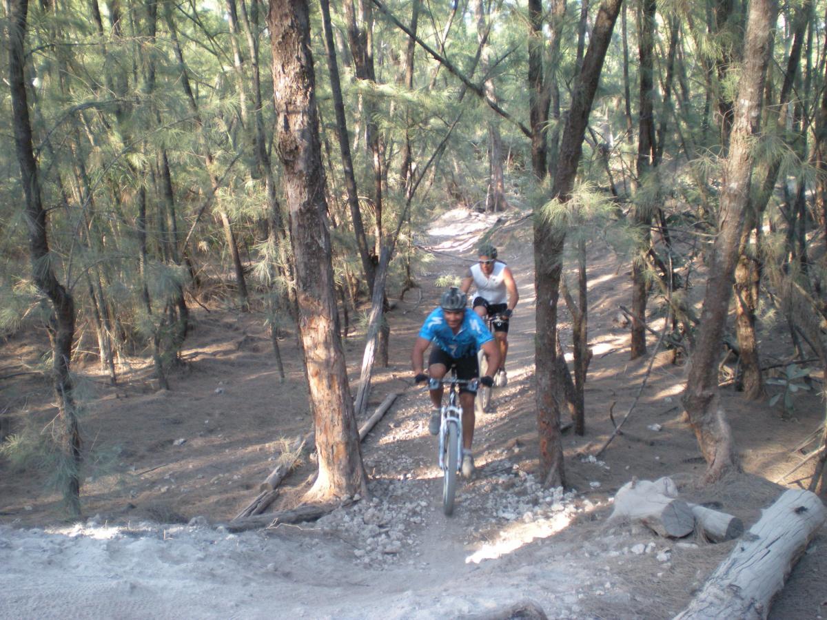 Two mountain bikers riding on a dirt trail through a wooded area with tall trees and scattered rocks. One biker is slightly ahead, navigating a curved section of the path, while the other follows closely behind. The scene captures the thrill of outdoor biking amidst nature. Oleta River State Park mountain bike trail.