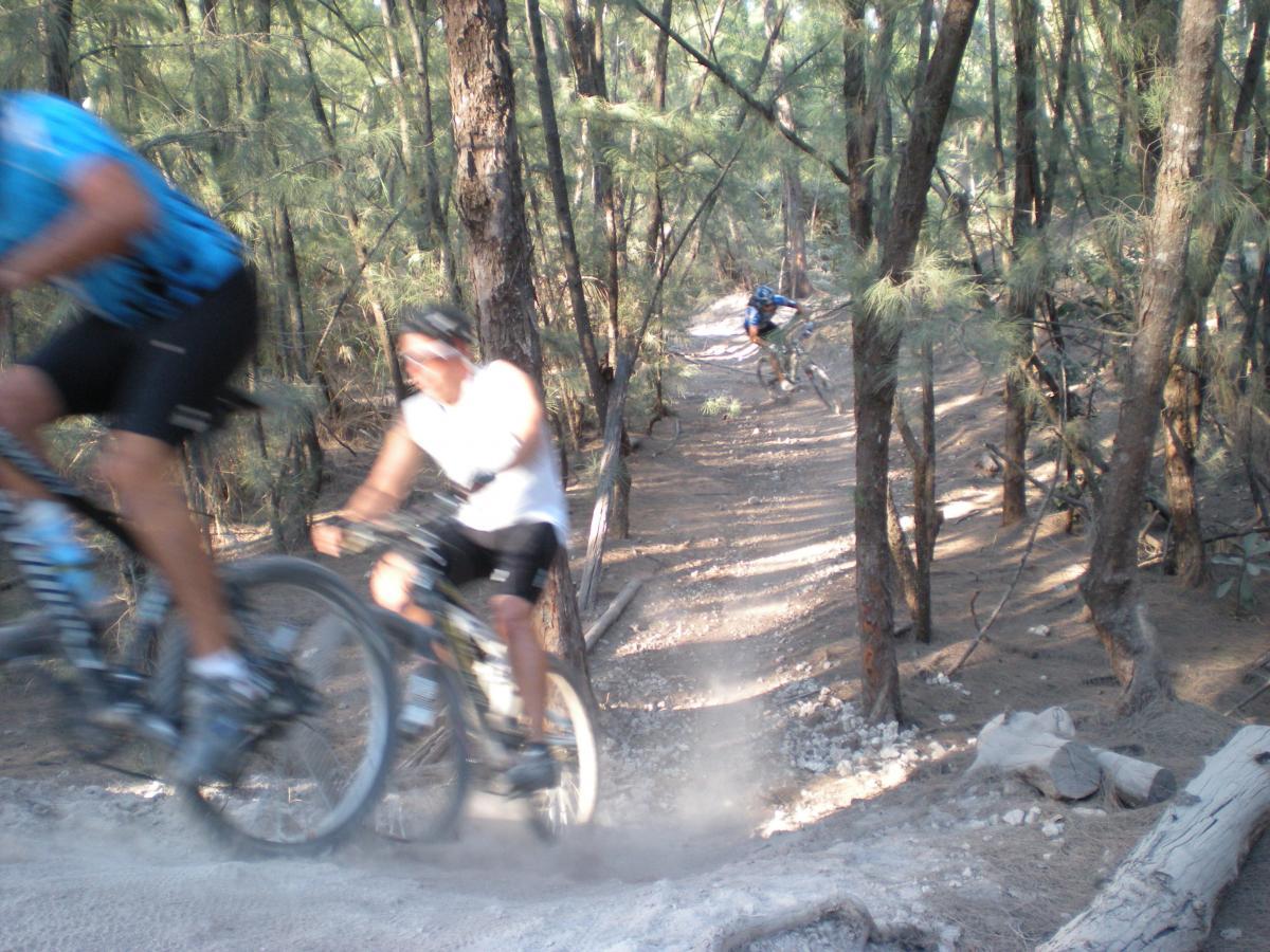 Two mountain bikers are riding through a dusty dirt trail in a forested area, surrounded by tall trees. The image captures a sense of motion, with one biker in a blue shirt appearing blurred as they speed past. The trail is lined with pine trees, and a few rocks and logs can be seen on the ground, suggesting a rugged terrain. Dust is kicked up behind the cyclists, emphasizing their swift movement. Oleta River State Park mountain bike trail.