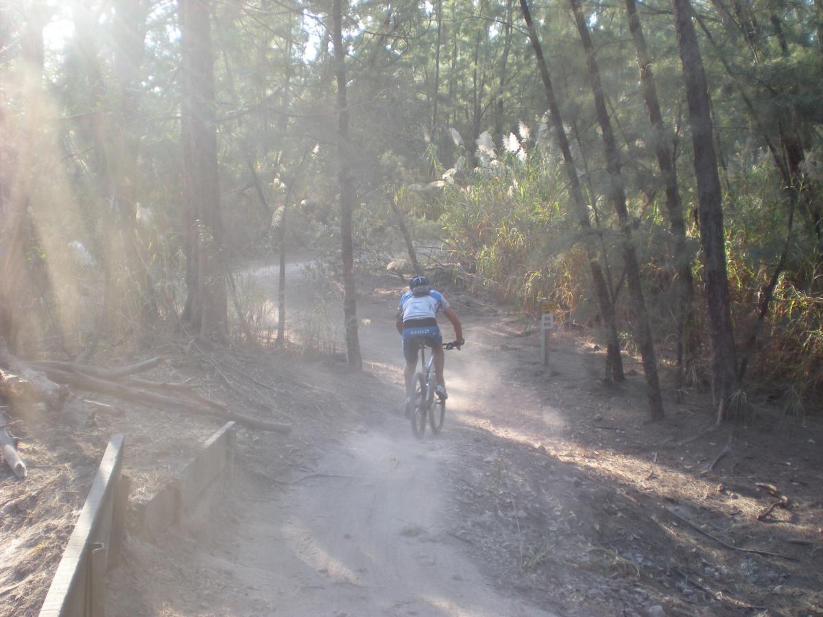 A cyclist riding on a dusty trail surrounded by trees in a forested area. Sunlight filters through the foliage, creating a hazy atmosphere. Fresh tire tracks are visible on the path, indicating recent activity. Oleta River State Park mountain bike trail.
