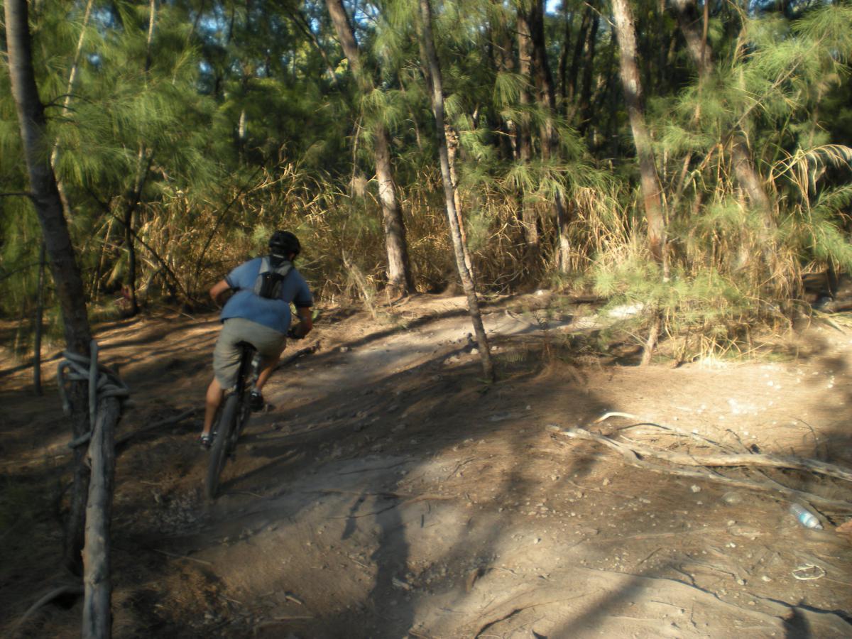 A person riding a mountain bike through a wooded trail, surrounded by trees and underbrush, with a focus on the rider as they navigate the terrain. Oleta River State Park mountain bike trail.
