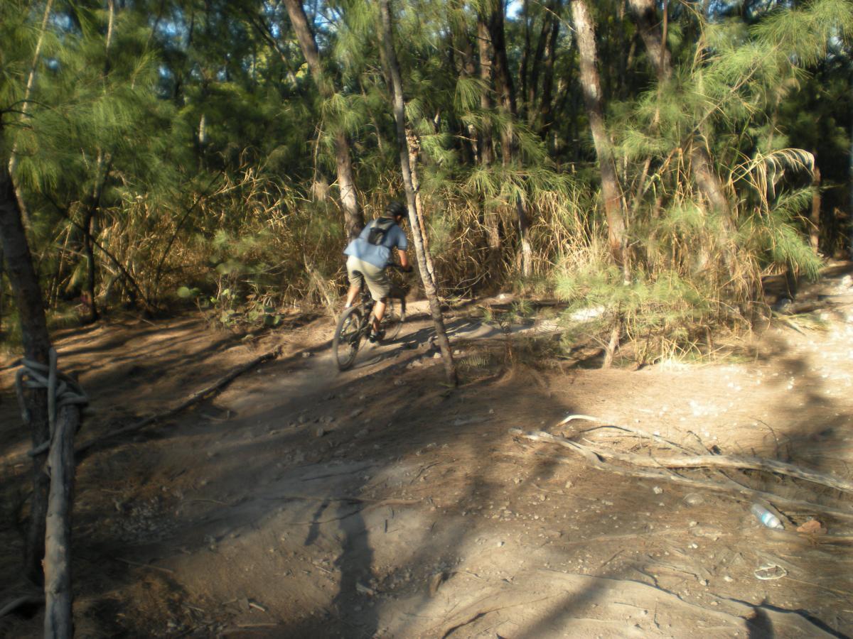 A person riding a mountain bike on a dirt trail surrounded by dense trees and vegetation, with dust kicked up from the ground. Oleta River State Park mountain bike trail.