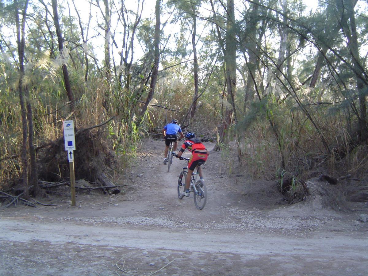 Two mountain bikers riding on a dirt trail through a forested area with tall grasses and trees. A trail marker is visible, indicating directions for cyclists. The sunlight filters through the foliage, creating dappled light on the path. Oleta River State Park mountain bike trail.