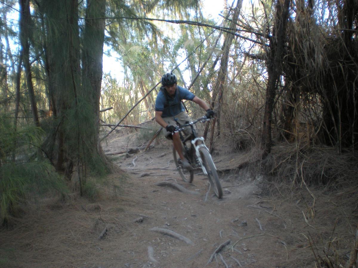 A mountain biker navigating a rugged dirt trail surrounded by trees and undergrowth. The rider is wearing a helmet and is in an active riding position as they maneuver over roots and rocks on the path. Oleta River State Park mountain bike trail.