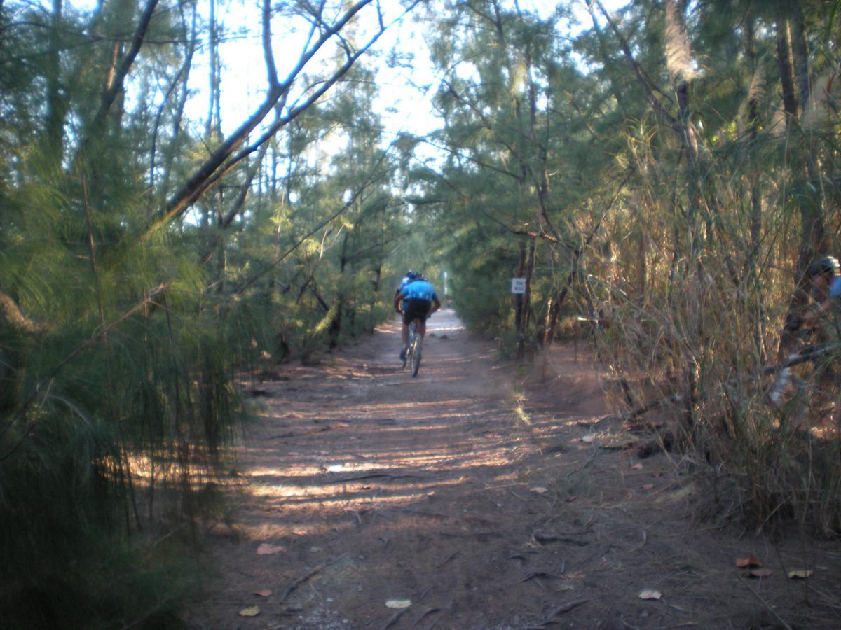 A cyclist riding along a narrow dirt path surrounded by tall trees and foliage, with sunlight filtering through the leaves. Oleta River State Park mountain bike trail.