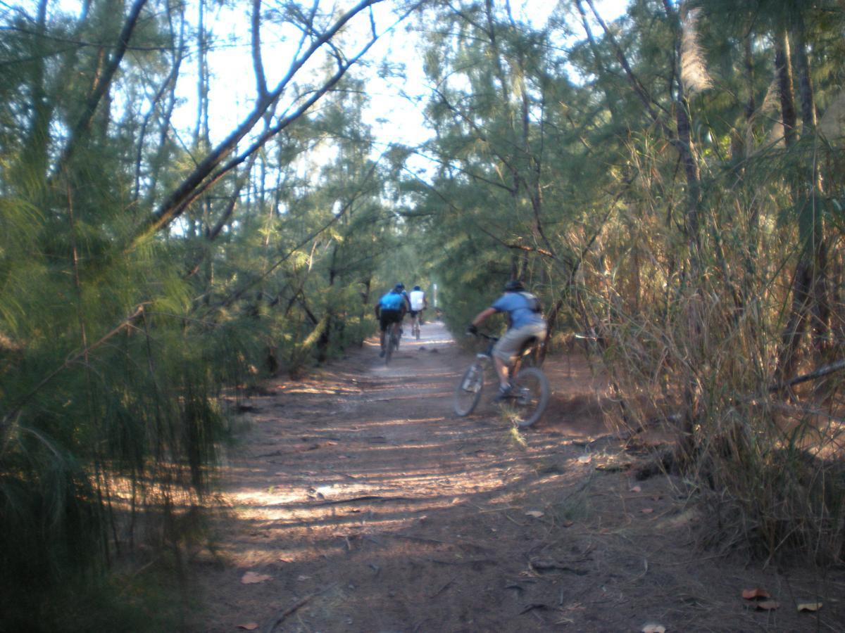 Mountain bikers riding along a narrow dirt trail surrounded by tall trees and greenery. The path is uneven, and the cyclists are wearing helmets and athletic clothing. Oleta River State Park mountain bike trail.