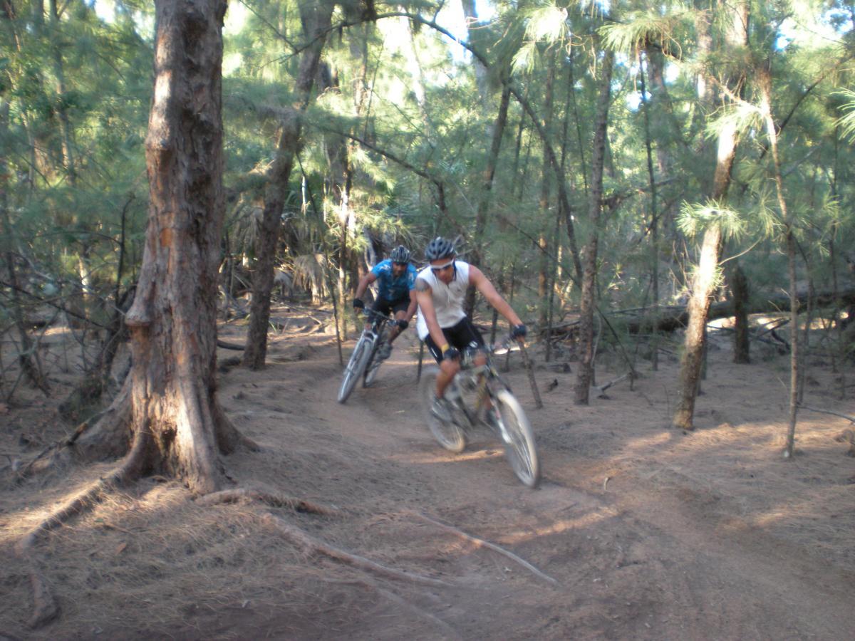 Two mountain bikers navigating a winding dirt trail through a dense forest. Tall trees and greenery surround them, creating a natural and rugged outdoor setting. One rider is in the foreground wearing a sleeveless top, while the other is slightly behind in a blue jersey. Oleta River State Park mountain bike trail.
