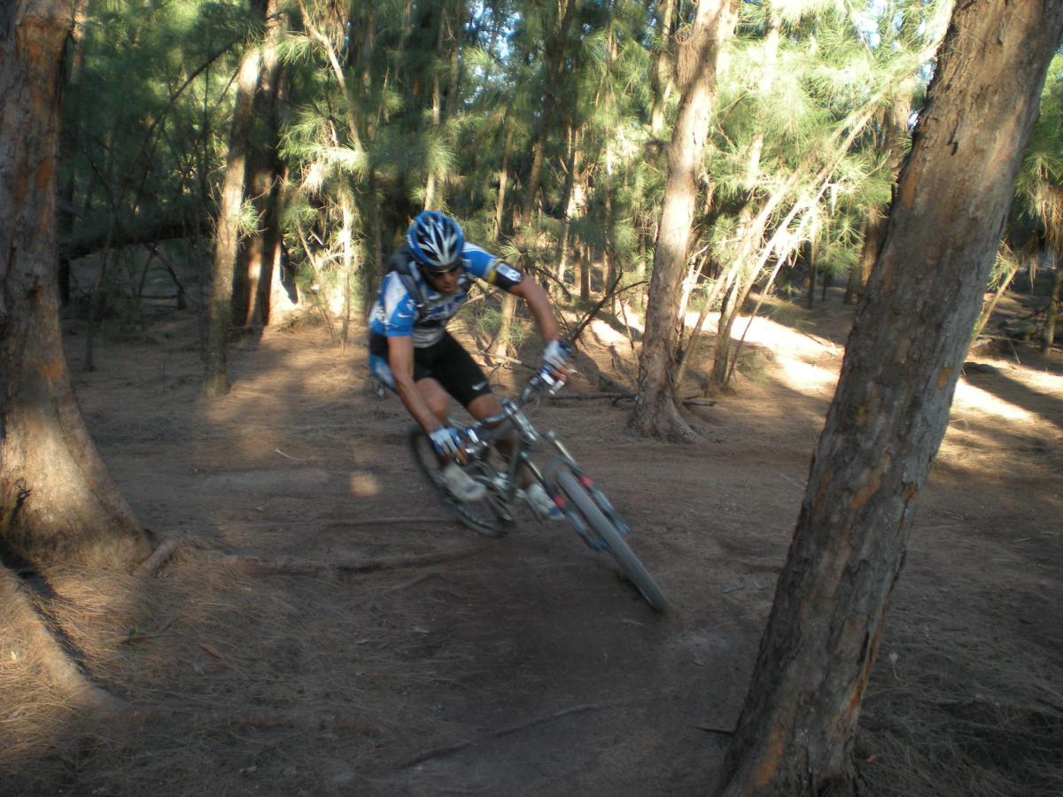 A mountain biker navigating a dirt trail through a wooded area, leaning into a turn between two trees. Sunlight filters through the pine needles, creating a dappled effect on the ground. The rider is wearing a blue and black jersey and a helmet. Oleta River State Park mountain bike trail.