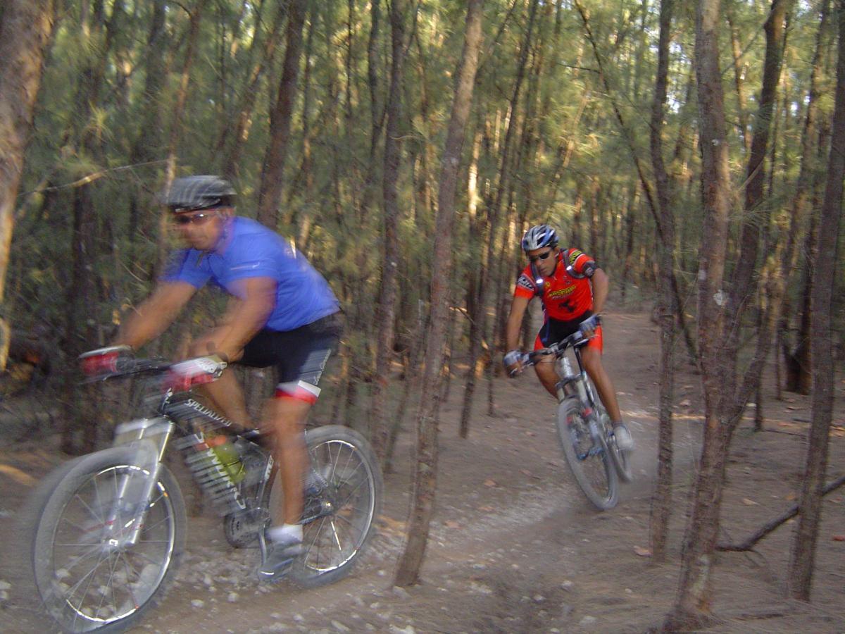 Two mountain bikers navigate a dirt trail through a dense forest of trees. One rider, dressed in a blue jersey, is seen in motion, while the other, wearing an orange jersey, is catching air as they descend a small jump. Dust and debris kick up from their tires, emphasizing the speed and excitement of the ride. Oleta River State Park mountain bike trail.