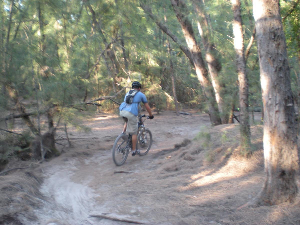 A person riding a mountain bike on a dirt trail surrounded by trees in a forested area. The scene captures the motion of biking through nature, with sunlight filtering through the greenery. Oleta River State Park mountain bike trail.