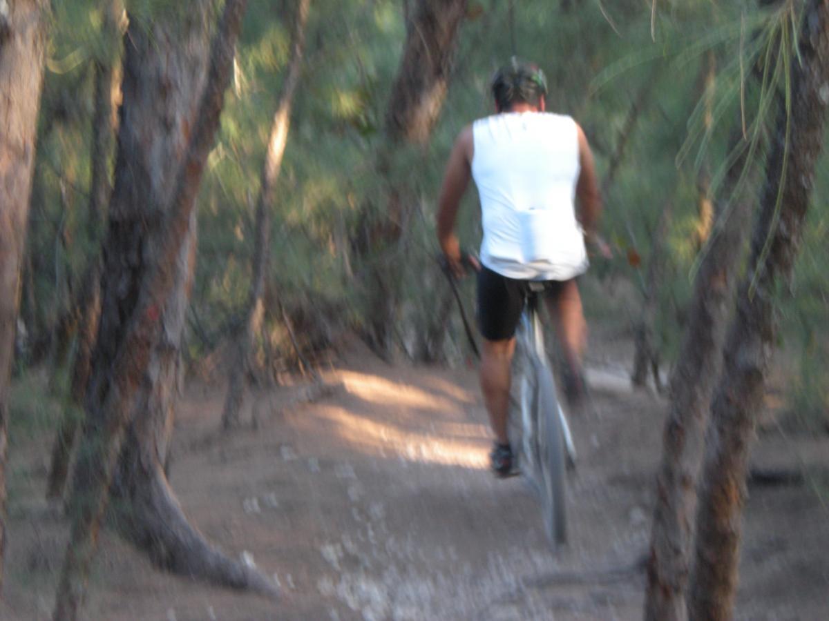 A person riding a mountain bike on a dirt trail surrounded by trees, captured in a slightly blurred motion. Oleta River State Park mountain bike trail.