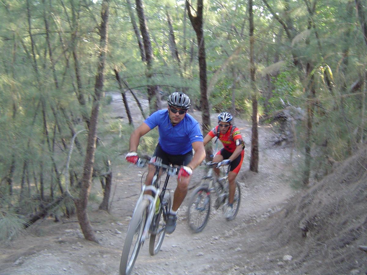 Two mountain bikers riding on a narrow dirt trail through a wooded area. One rider, wearing a blue jersey and helmet, is in the foreground, leaning forward on his bike. The other rider, dressed in a red and black outfit, follows closely behind. The surroundings feature trees and a natural, rugged terrain. Oleta River State Park mountain bike trail.